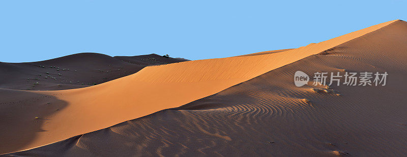 撒哈拉沙漠日落时