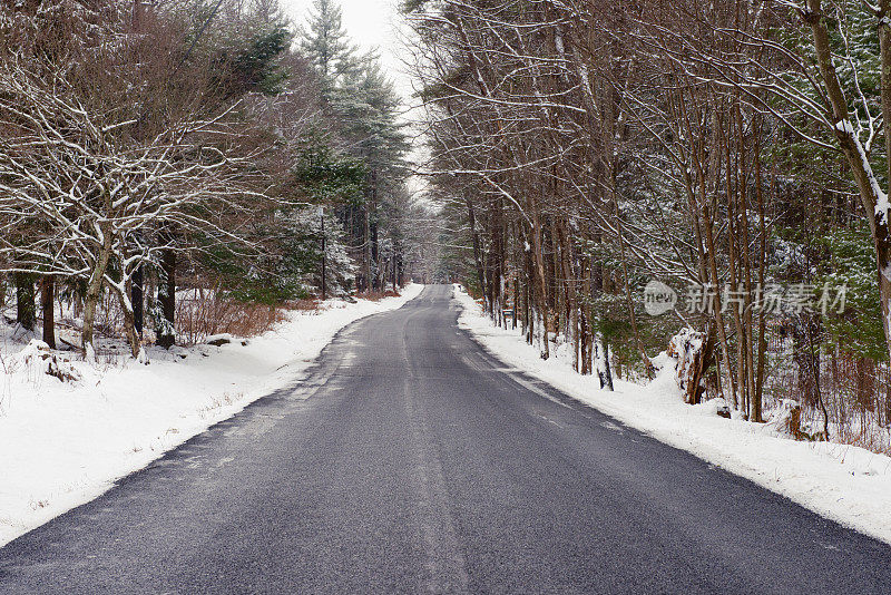 雪乡林荫路