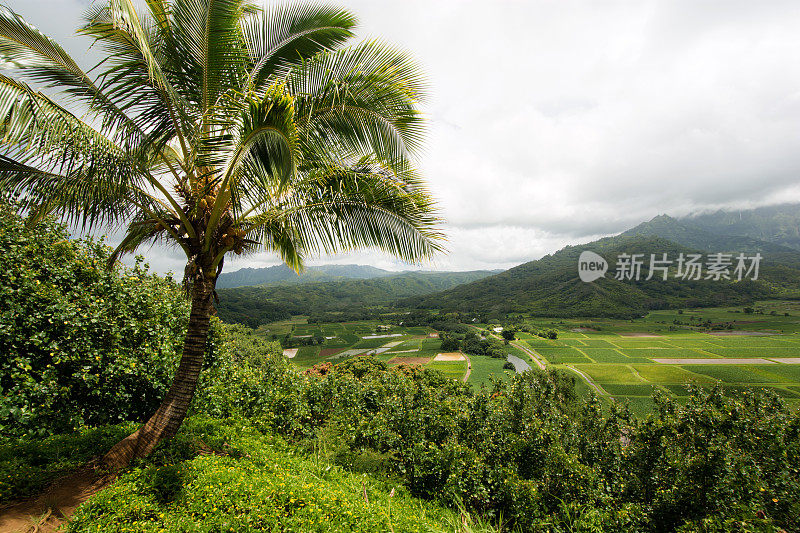 哈纳雷山谷位于夏威夷考艾岛