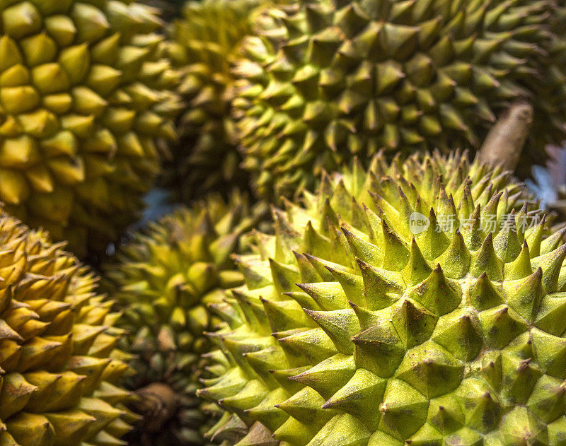 榴莲的特写