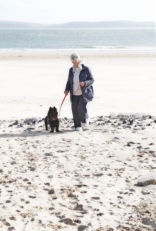 老妇人在沙滩上遛狗