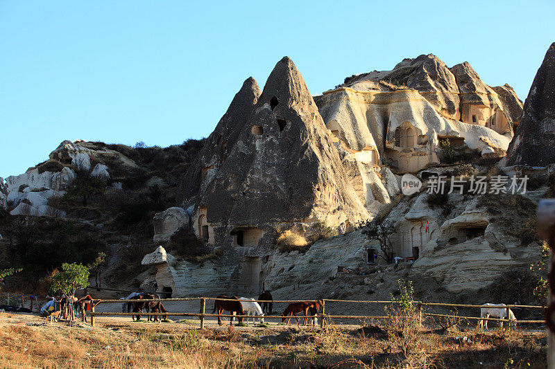 马在牧场火山景观戈雷米山谷洞穴卡帕多奇