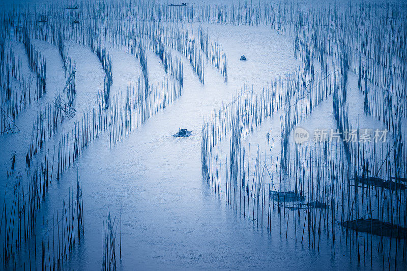 海农场