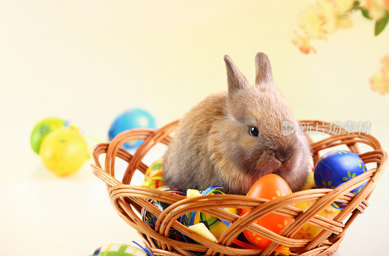 复活节兔子和彩蛋。