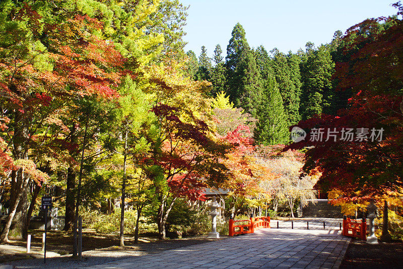 日本高野山的秋天