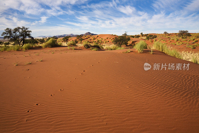 沙漠对天景观