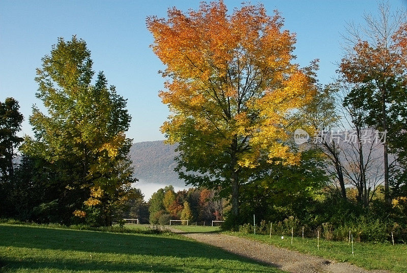 佛蒙特州的秋天的颜色
