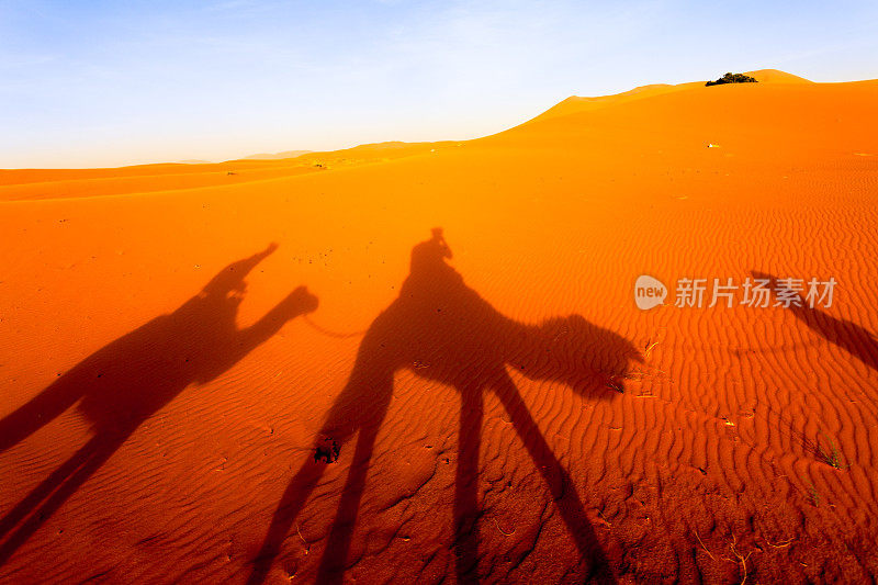 日落时分，撒哈拉沙漠沙丘上的骆驼队