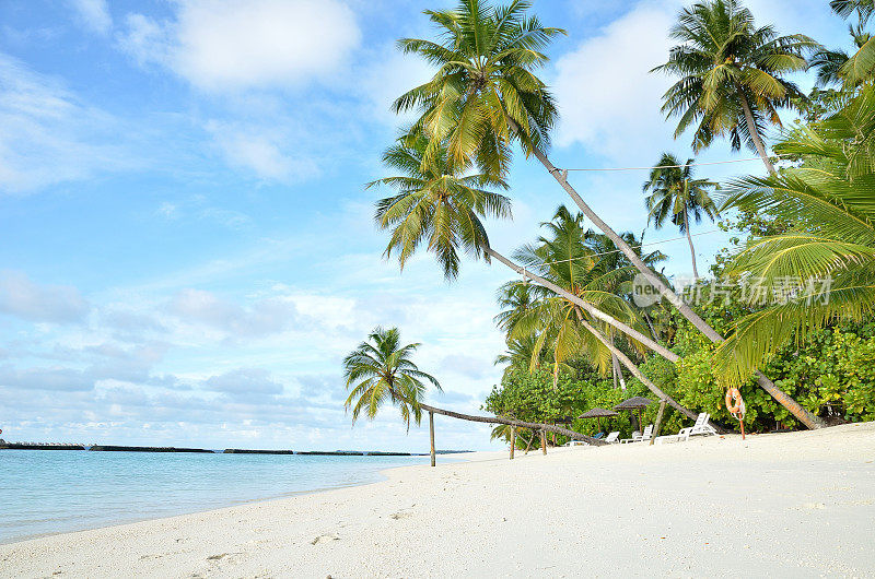 热带沙滩上有棕榈树