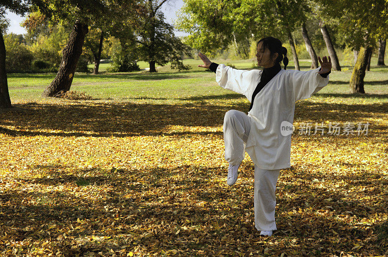 女子打太极拳