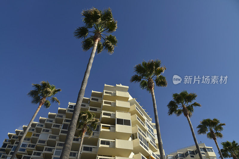 玛贝拉度假公寓和棕榈树。