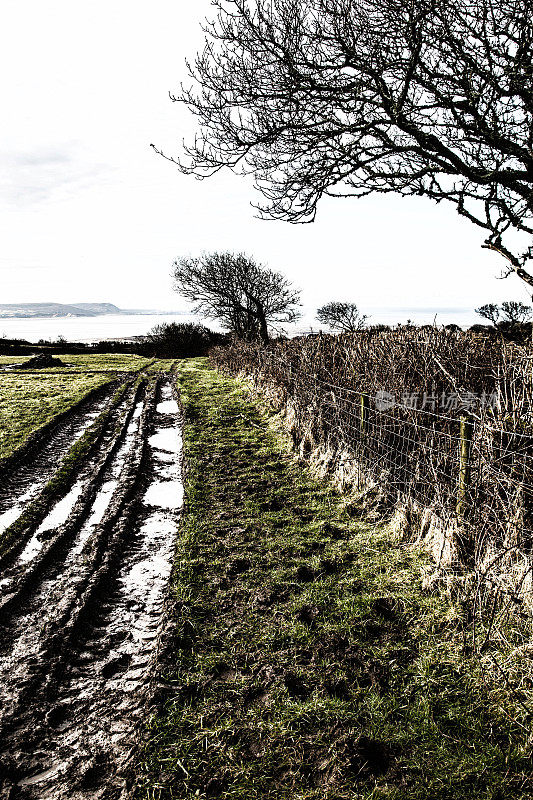 英国威尔士乡村泥泞的农场小路