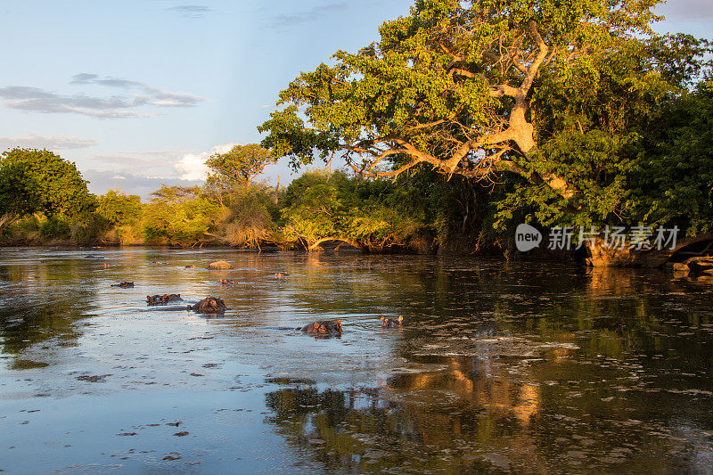 坦桑尼亚塞伦盖蒂的格鲁梅蒂河与海波池