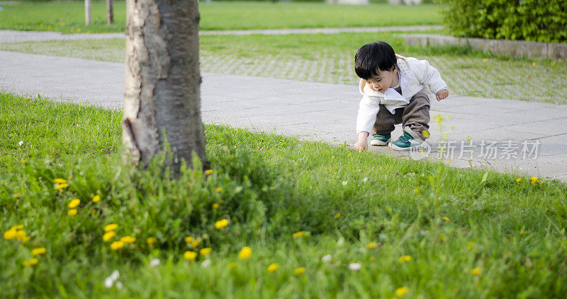 亚洲幼童在户外玩耍