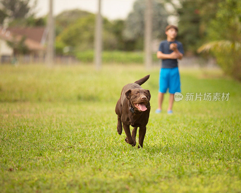 孩子和他的狗