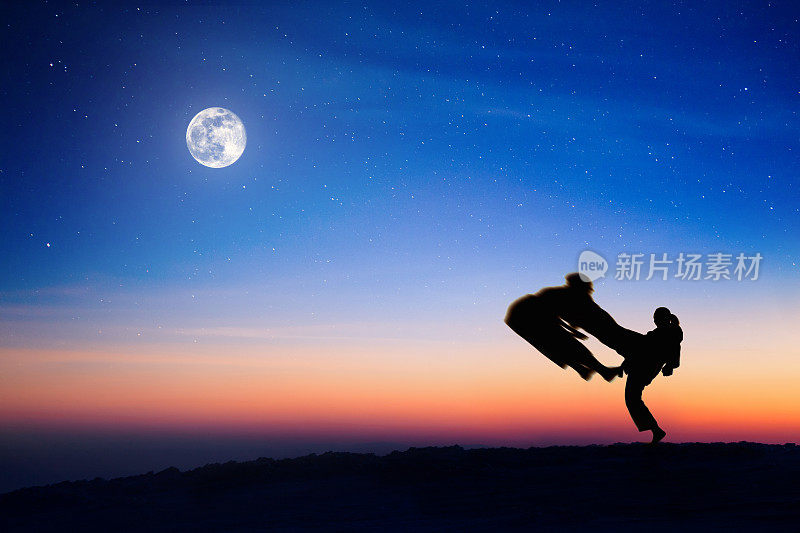 星空下，两个空手道战士的剪影