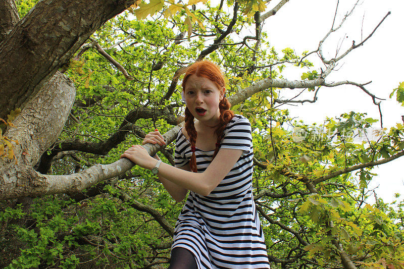 假小子女孩穿着条纹裙爬上橡树，忧心忡忡，惊慌失措