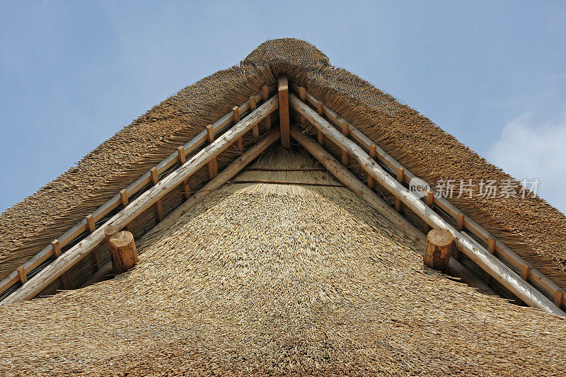 新的稻草屋顶