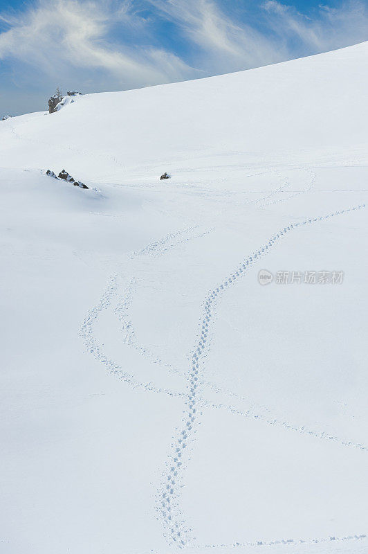 雪地里的脚印