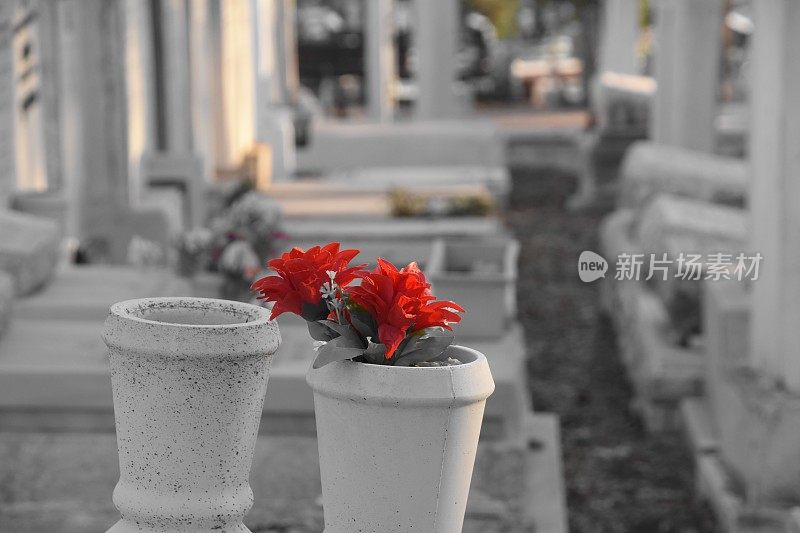 墓地里坟墓上的花