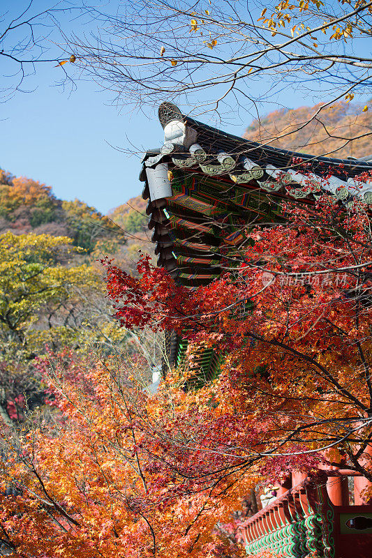 秋天在韩国