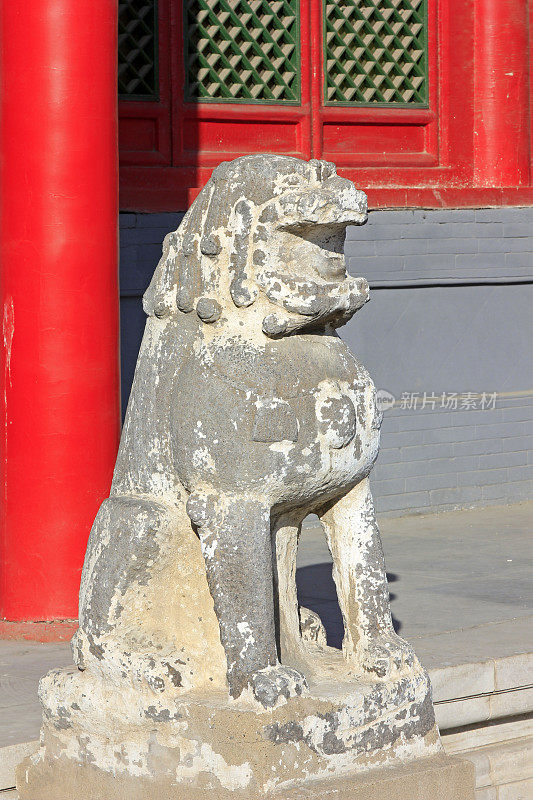 寺庙里的石狮，特写照片