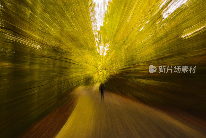 抽象模糊的黄色秋天森林-看起来像时间旅行
