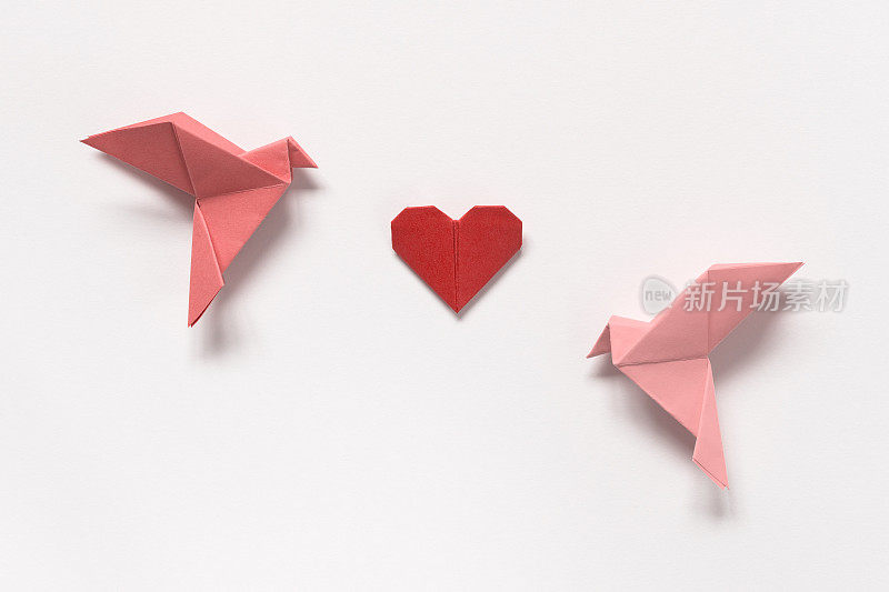 粉红色的鸟和红心折纸在白色的背景。情人节礼物卡。