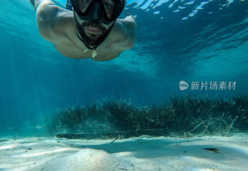 一名男子在清澈的海水中向镜头游去