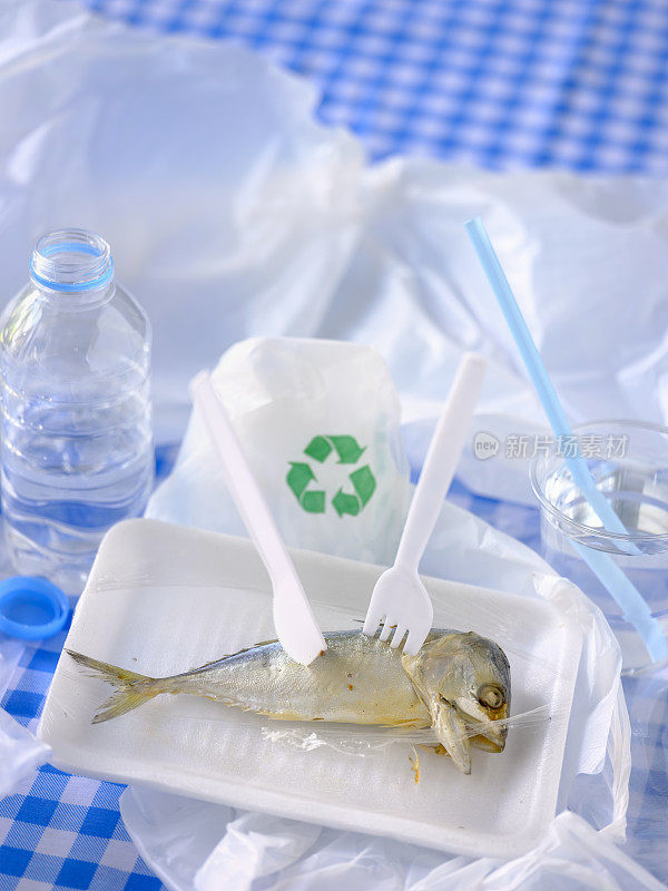 用保鲜膜包裹的印度鲭鱼放在聚苯乙烯盘子上，盘子打开后用塑料刀叉戳鱼，放置在蓝色格子布桌布上。