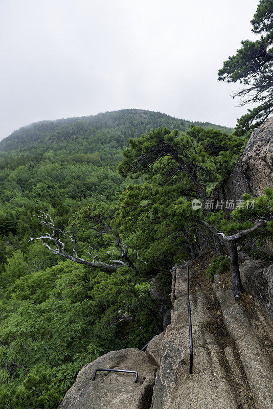 阿卡迪亚国家公园的蜂巢步道