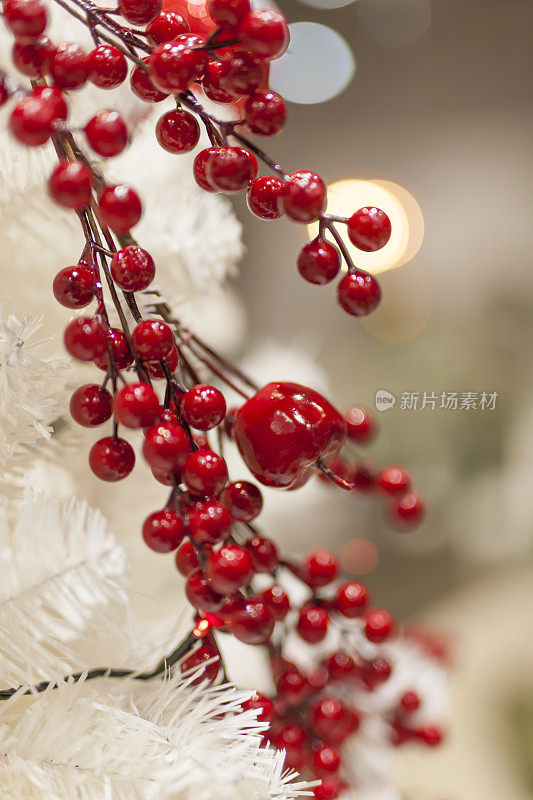 圣诞红莓枝装饰