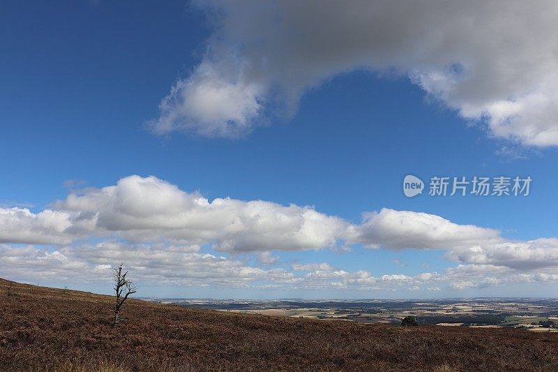 山顶上蓝色的天空中飘浮着白云