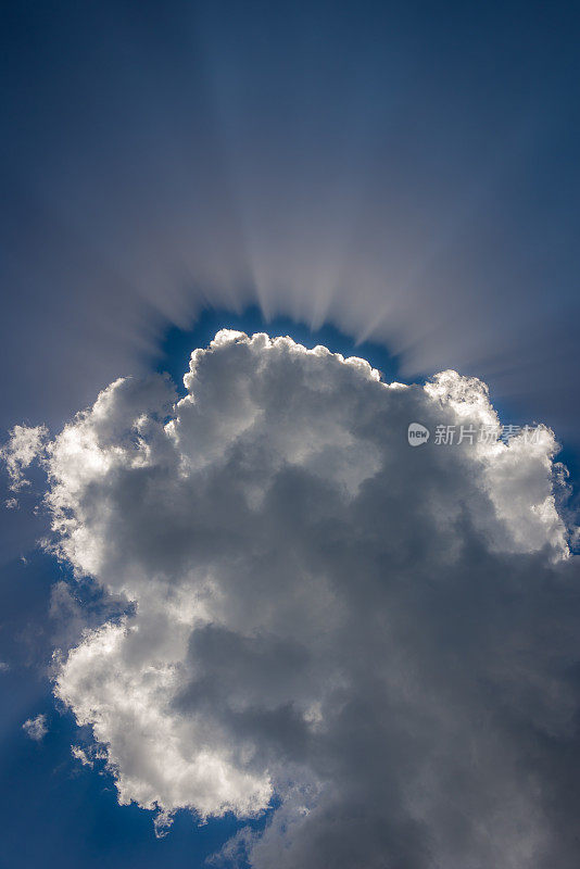 在明亮的夏日天空中形成的云