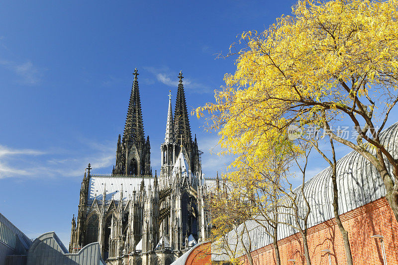 科隆大教堂，德国科隆