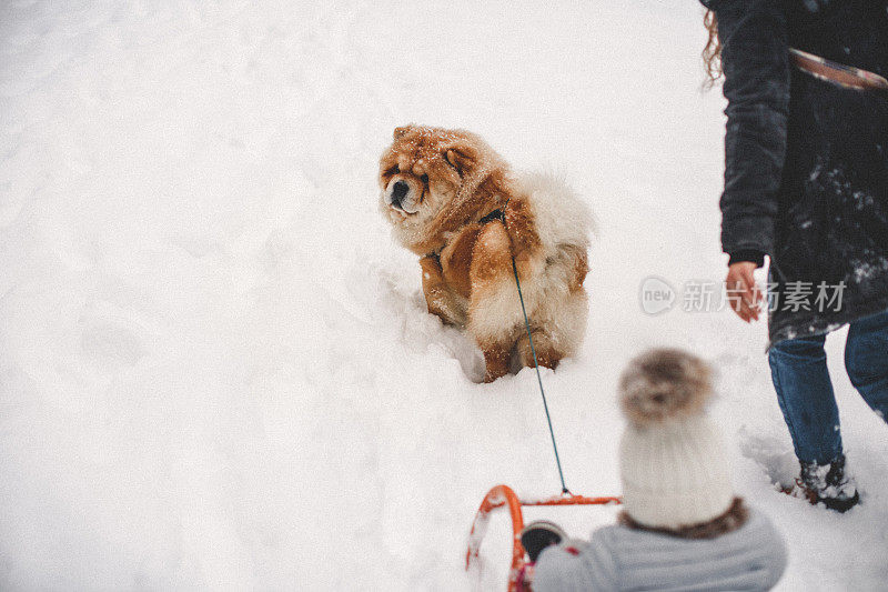 雪中的聚会时间