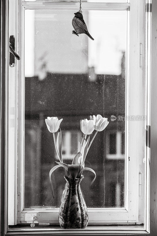 花瓶里的花，旧窗，黑白相间