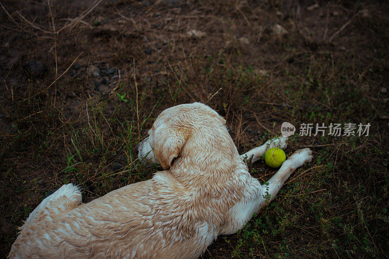 和你最好的朋友一起享受夏日