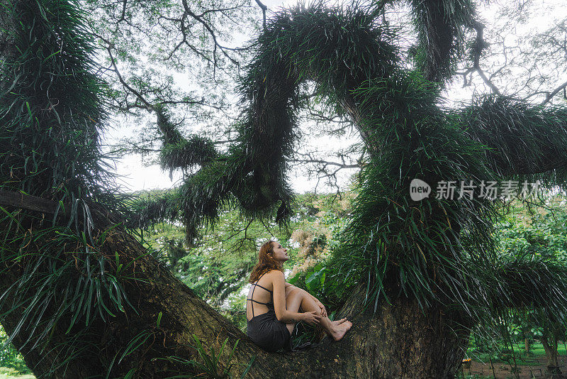 一名妇女坐在萨满树上