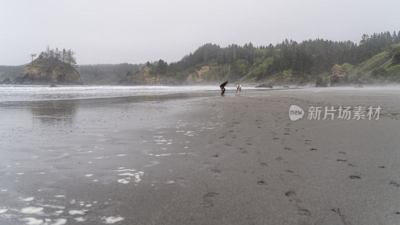 这位40岁的成熟白种女子在一个雾天里和她的大狗在太平洋的海滩上玩耍。特立尼达，加利福尼亚，美国西海岸。