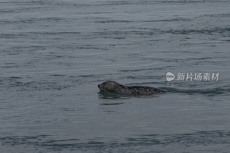 钻石海滩