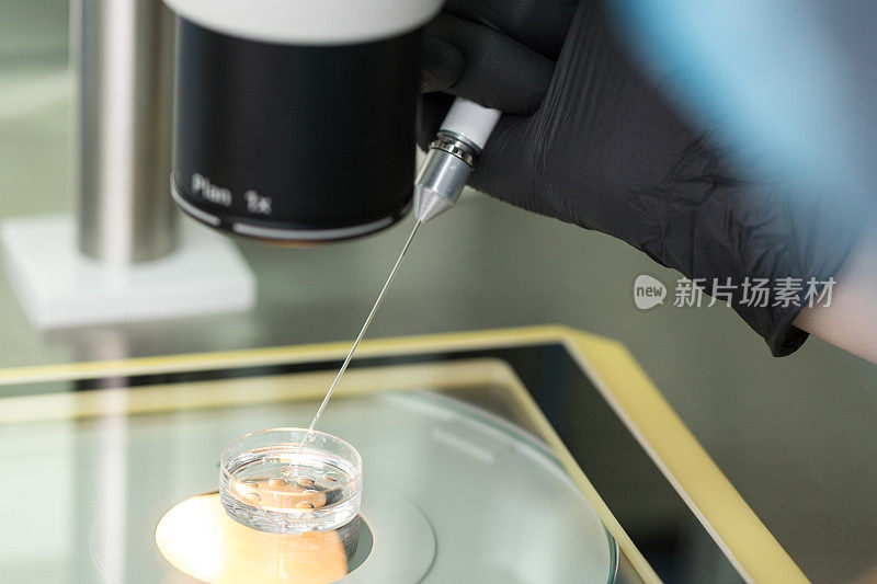 胚胎学家的手和一个工作工具来处理人类生物材料。