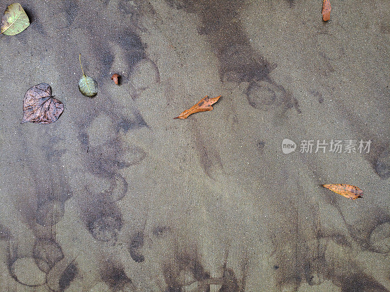 秋天的叶子颜色在潮湿的混凝土背景