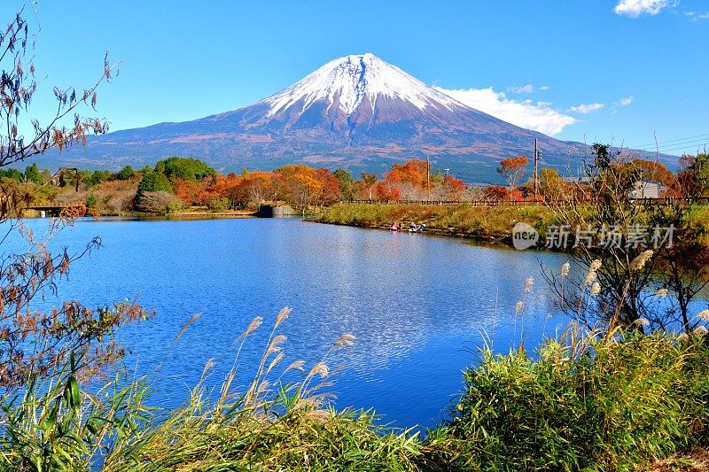 富士山和秋叶色，拍摄于富士五湖地区和富士宫市