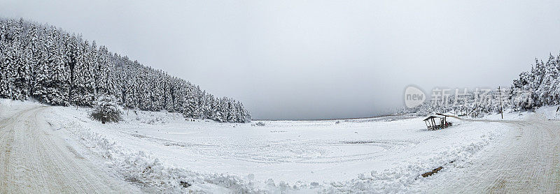 雪域森林全景，冬季景观