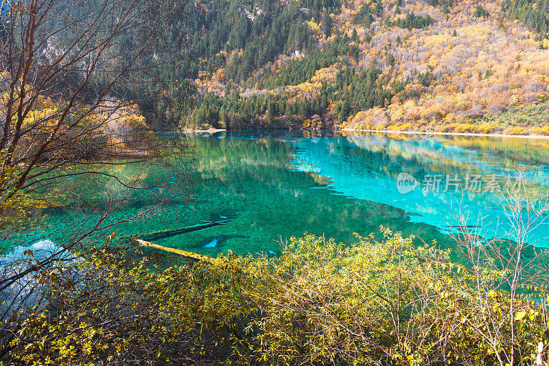 观赏风景优美的木山和湖泊景观，中国九寨沟国家公园