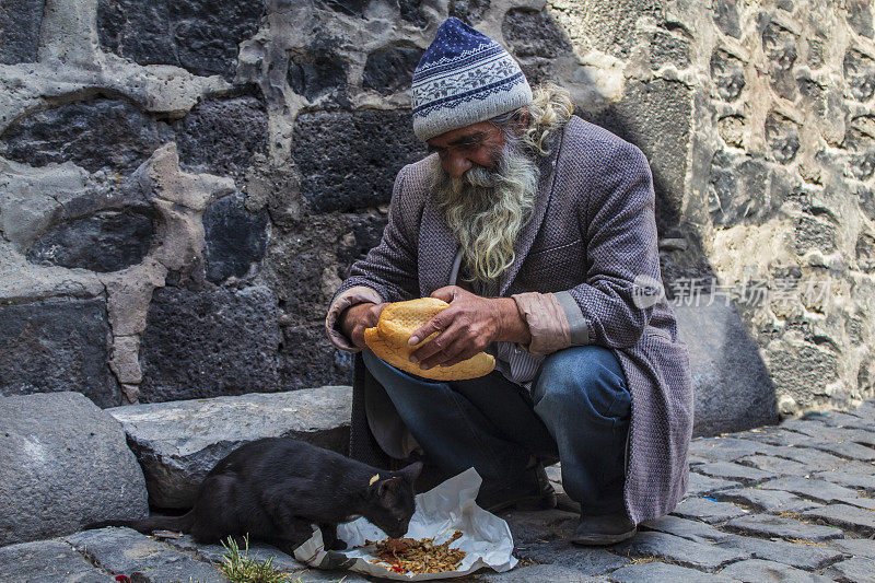 老人类猫喂食肖像与毛发混合胡须