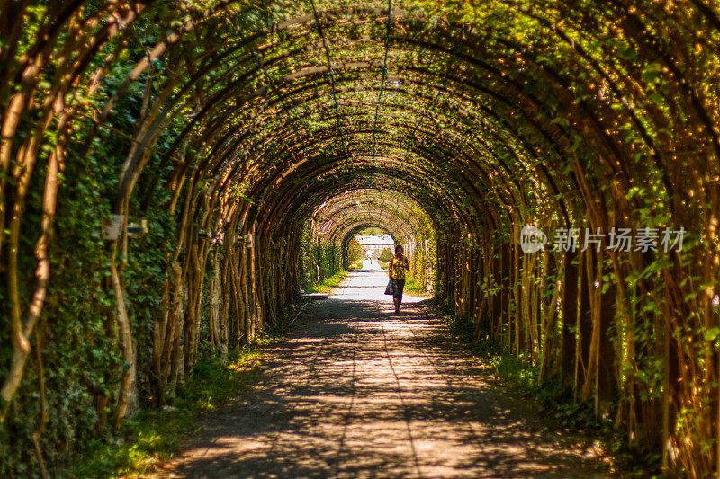 萨尔茨堡米拉贝尔宫的绿色隧道