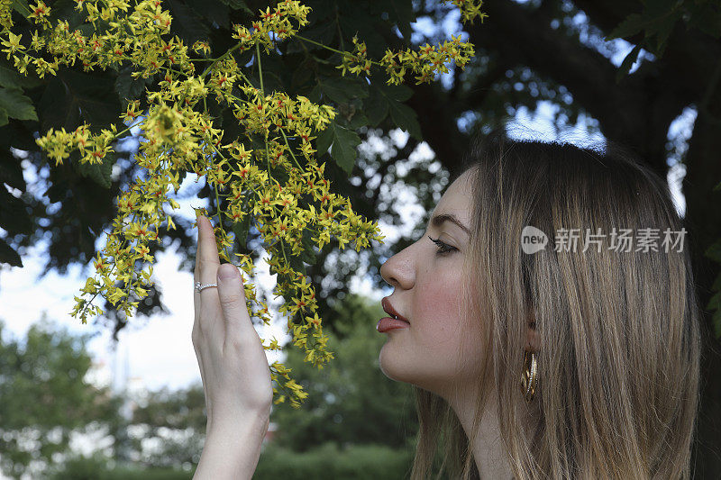 新冠肺炎封锁期间，闻到金雨树花香