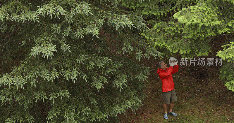 一个穿着红色雨衣的男人在下雨时在雨林的树枝下拍照